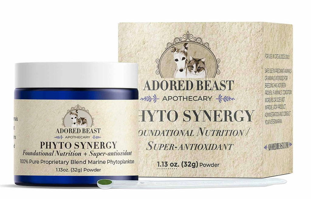 Phyto Synergy