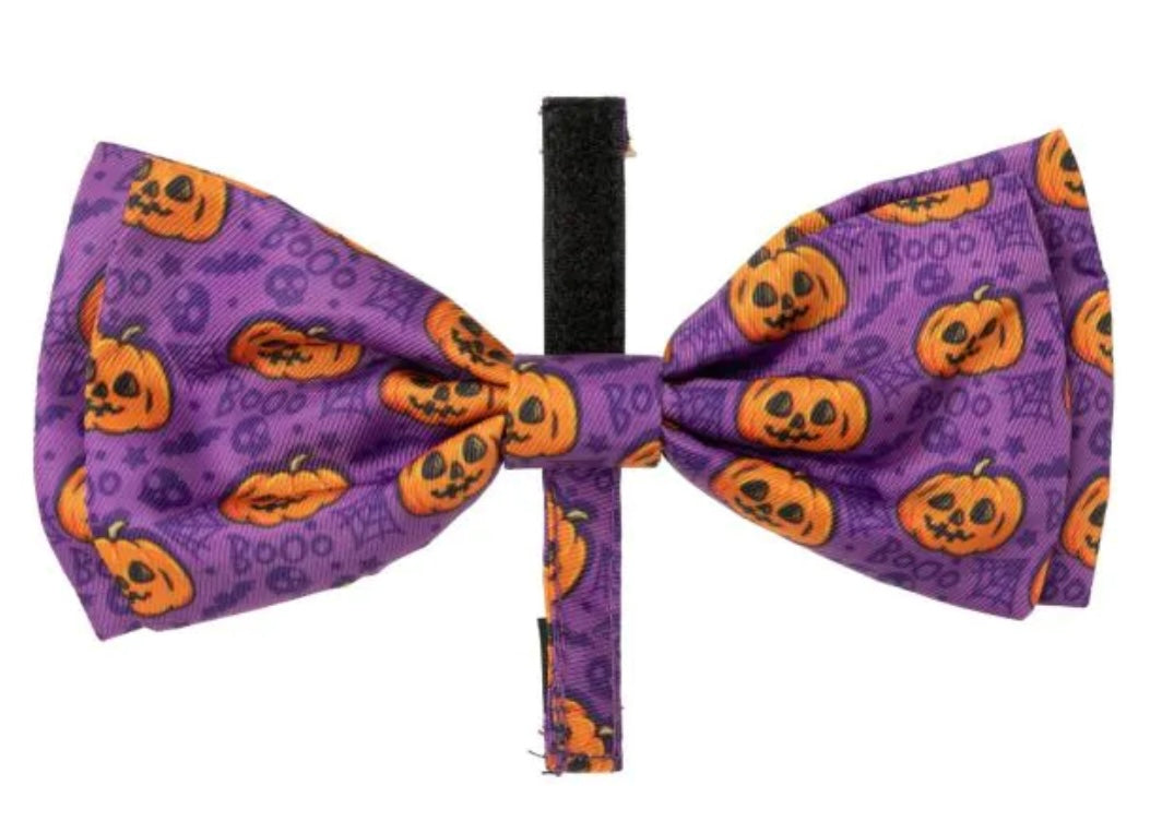 Bow Tie Jack Jack