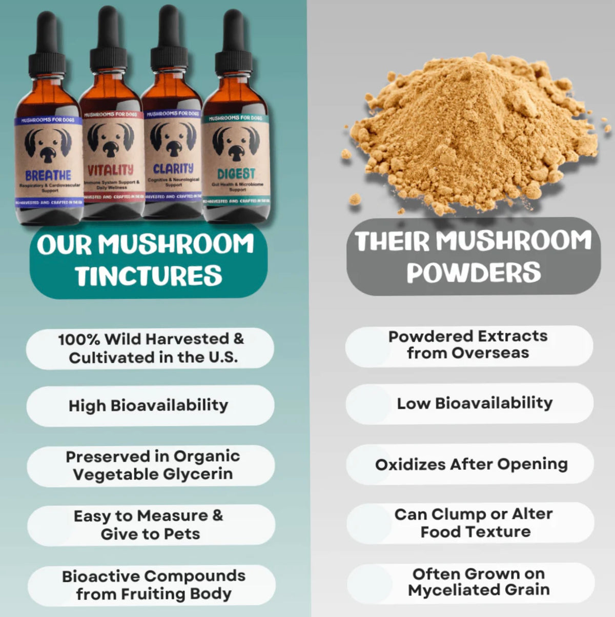 MyCoDog Mushroom Tinctures