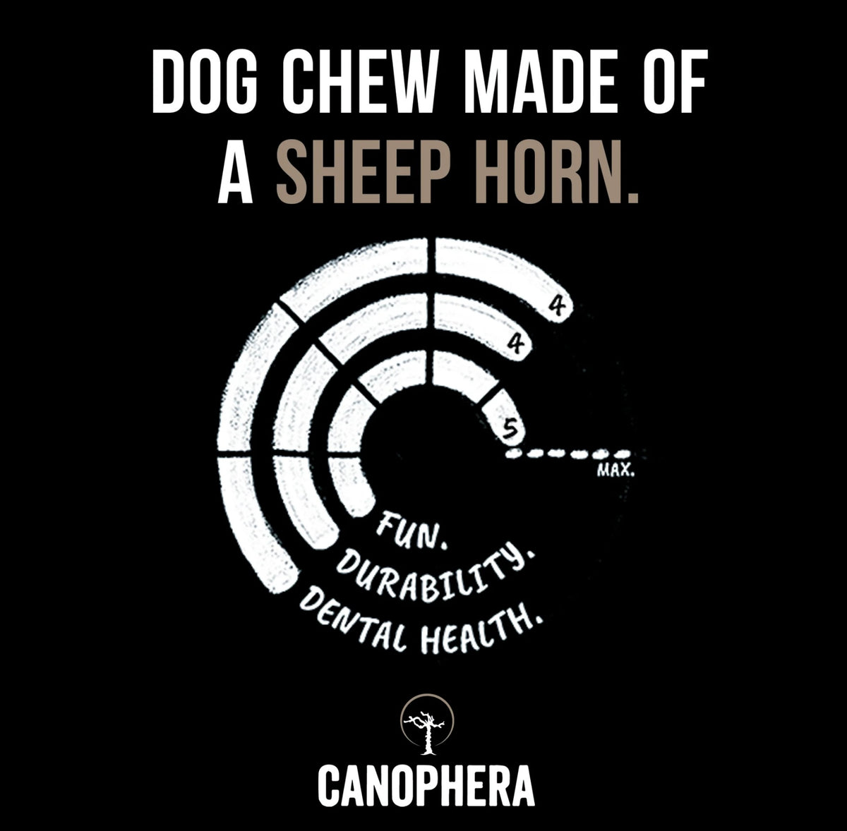 Canophera Sheep Horn Chew