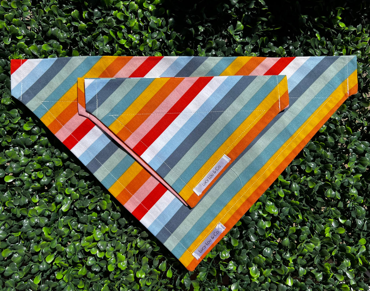 Lucy Lou and Co. Rainbow Stripe Bandana