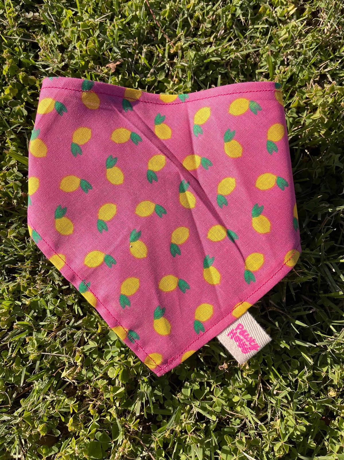 Lemon Bandana