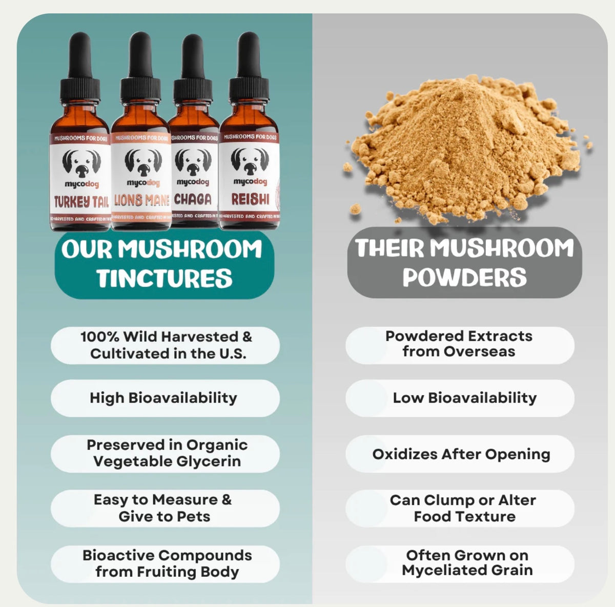 MyCoDog Mushroom Tinctures