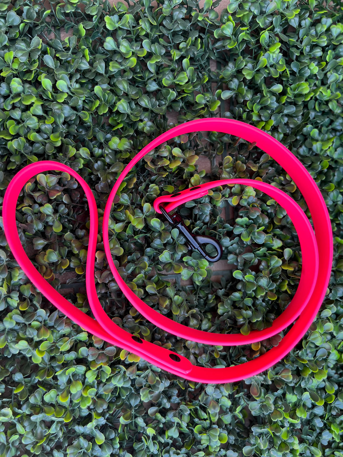 Lucy Lou & Co. Biothane Leash