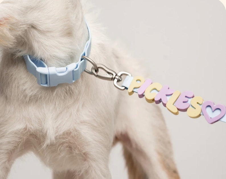 Springland Silicone Dog Charms | Letters & Symbols for Personalized Dog Collars and Leashes- Lilac