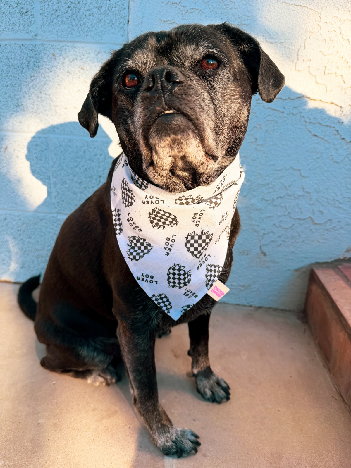 Valentine’s Day Bandanas