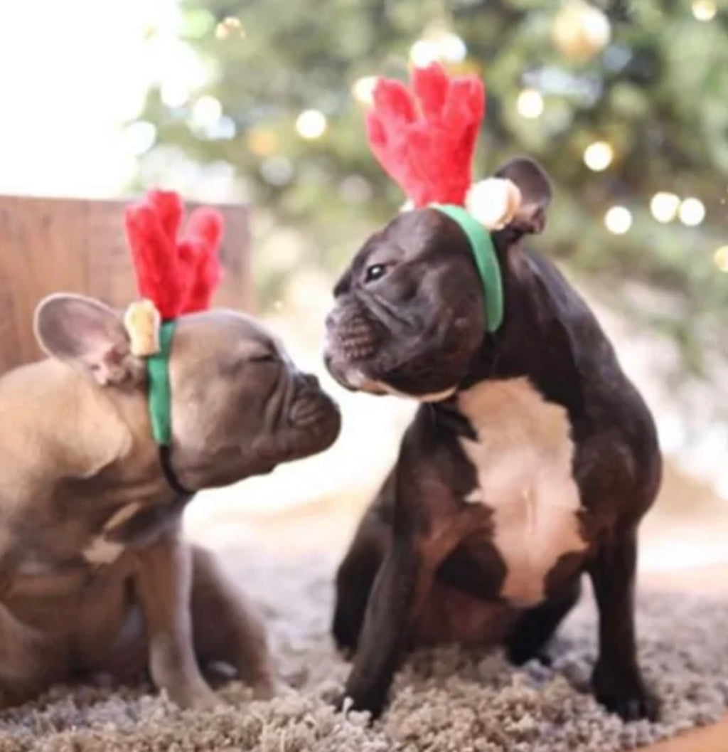 Zippypaws Holiday Antlers