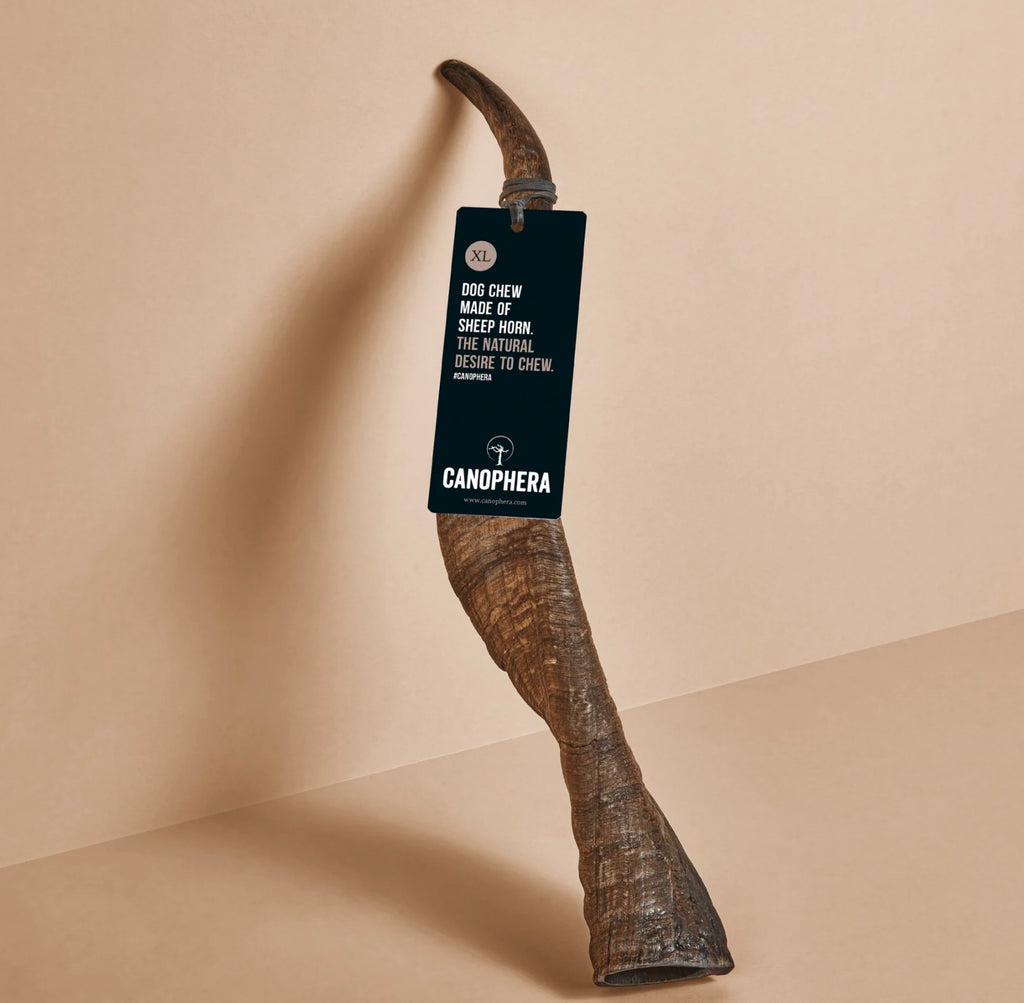 Canophera Sheep Horn Chew