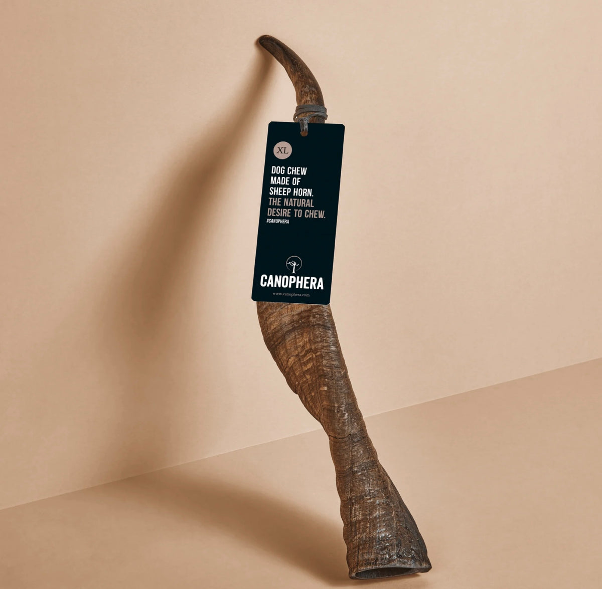 Canophera Sheep Horn Chew