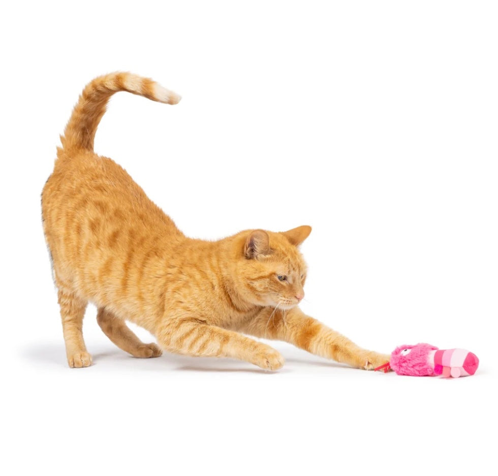 Love Bugs 2pk Plush Cat Toy