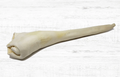 Home Range Full Length Bull Tail