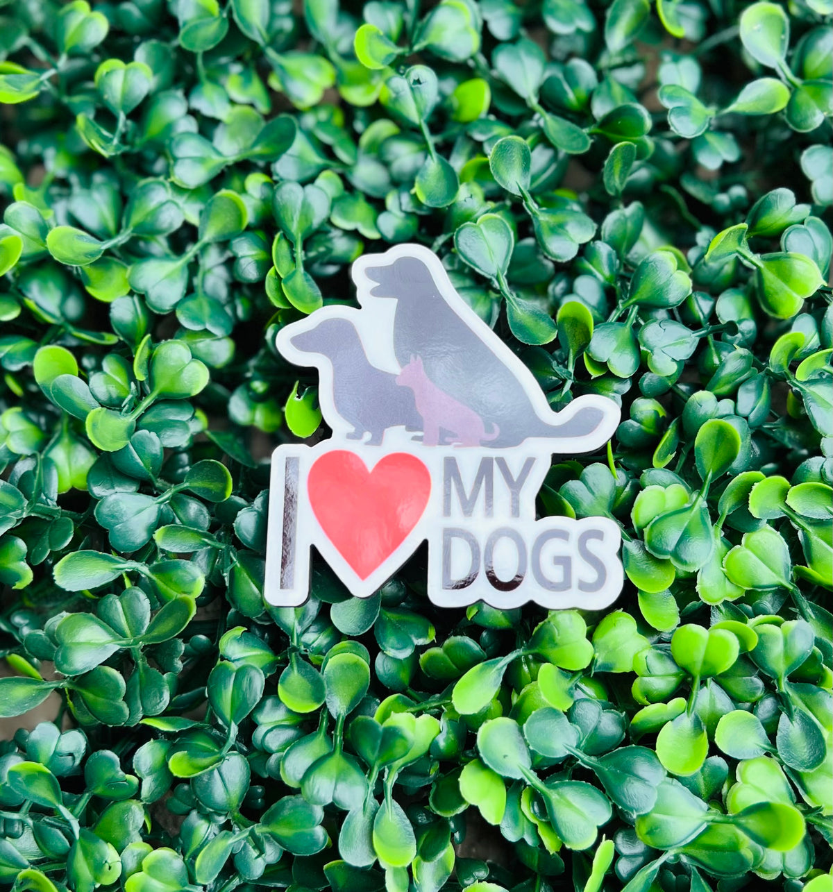 I love my pet magnet