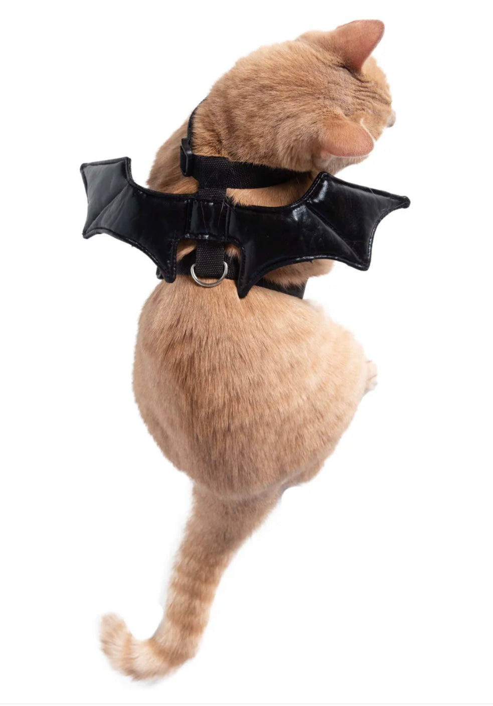 Bat Wings