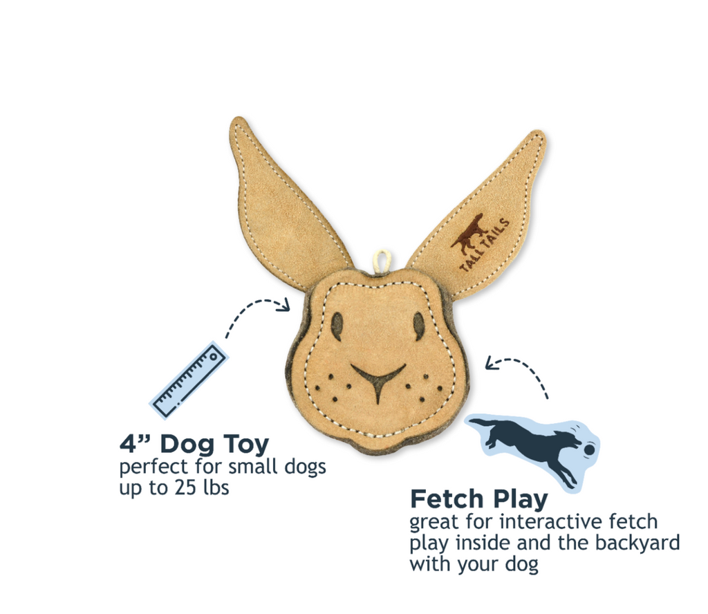 Tall Tails Scrappy Rabbit Dog Toy