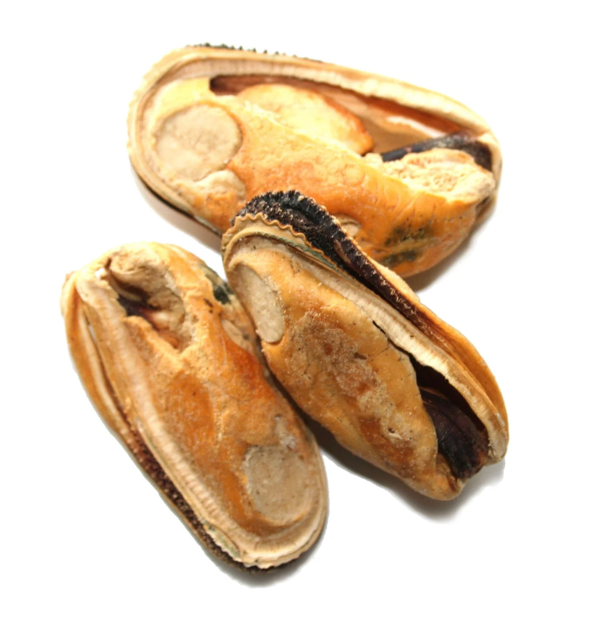 Freeze Dried Green Lipped Mussels Bulk