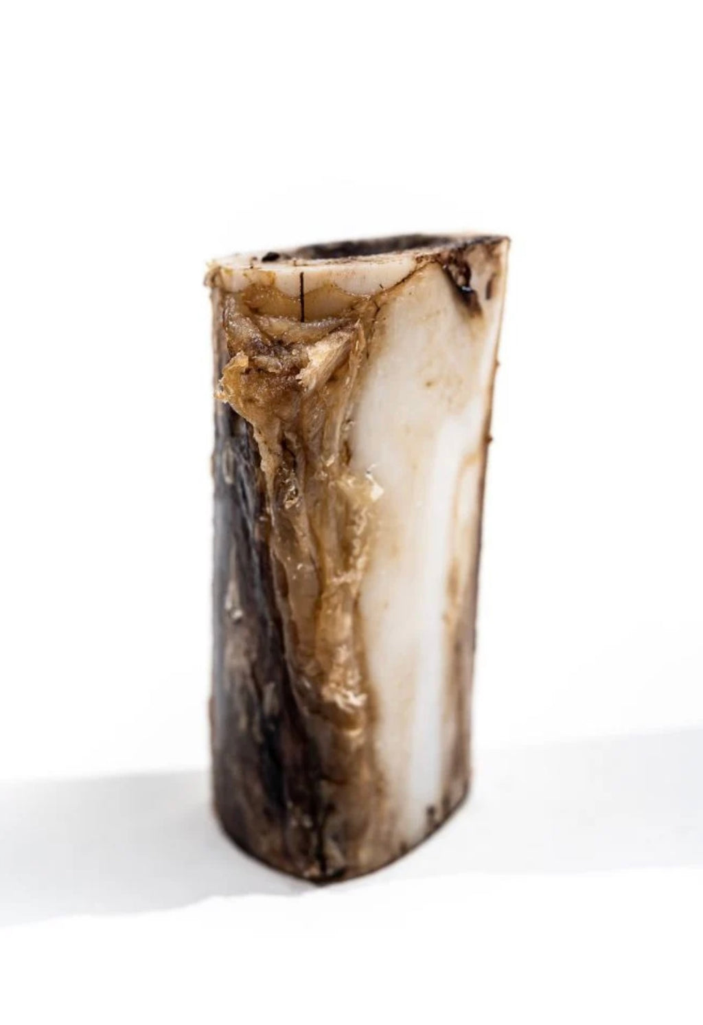 Bison Marrow Bones