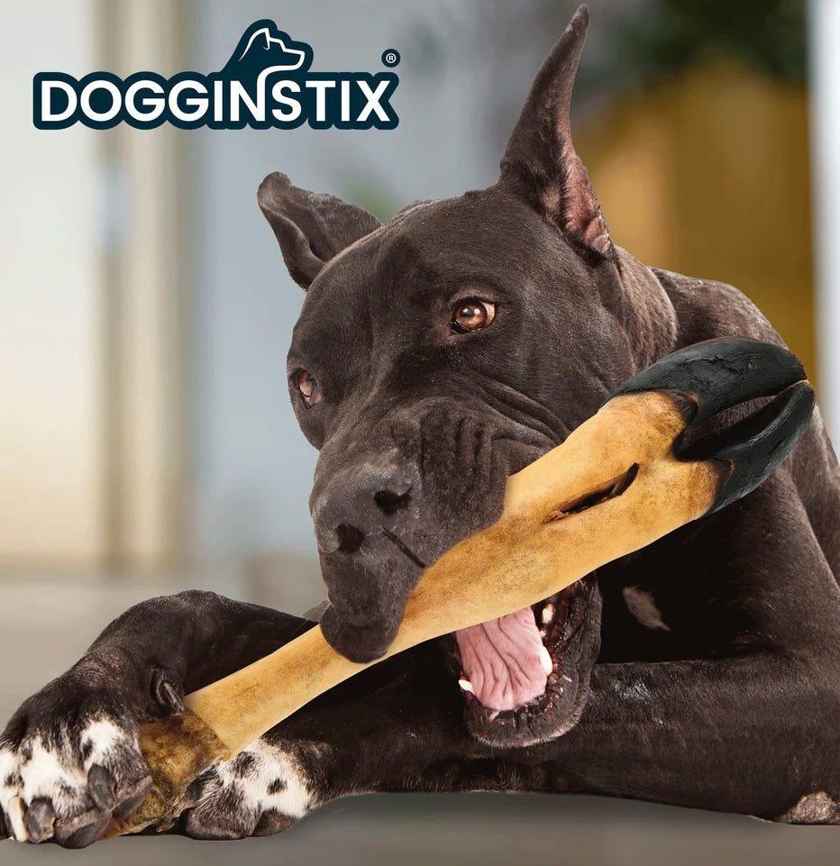 Dogginstix Beef Trotter