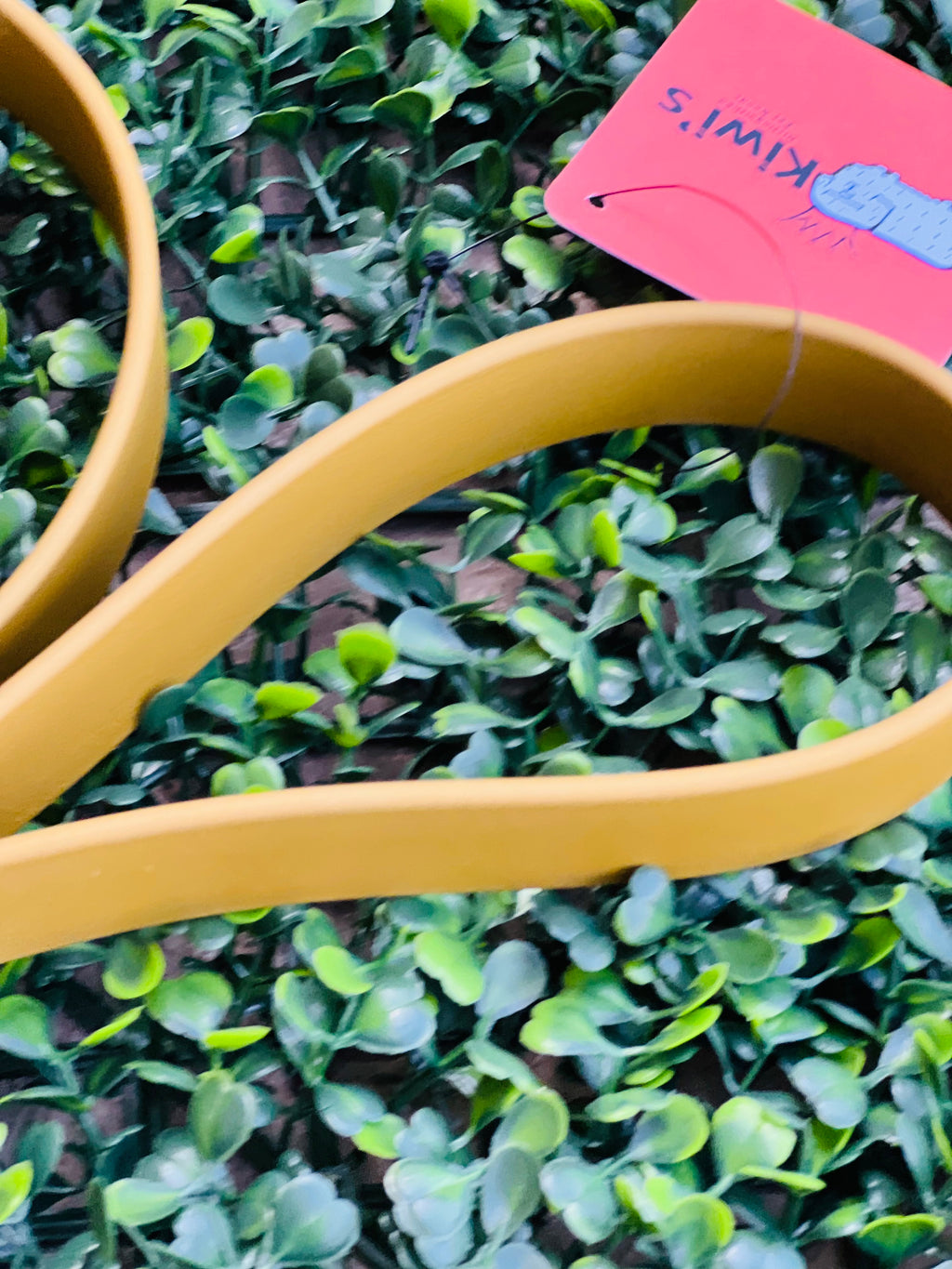 Lucy Lou & Co. Biothane Leash