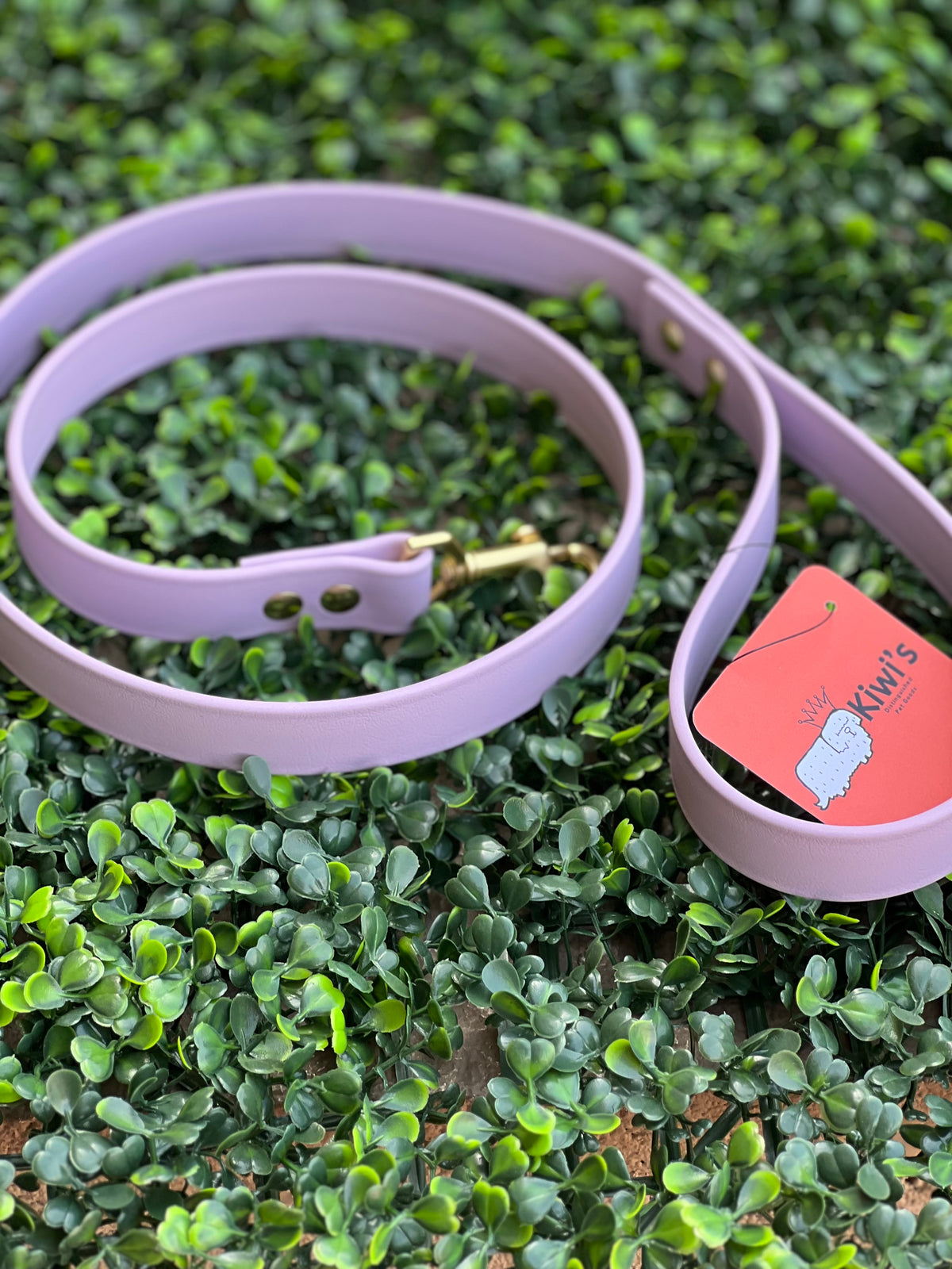 Lucy Lou & Co. Biothane Leash