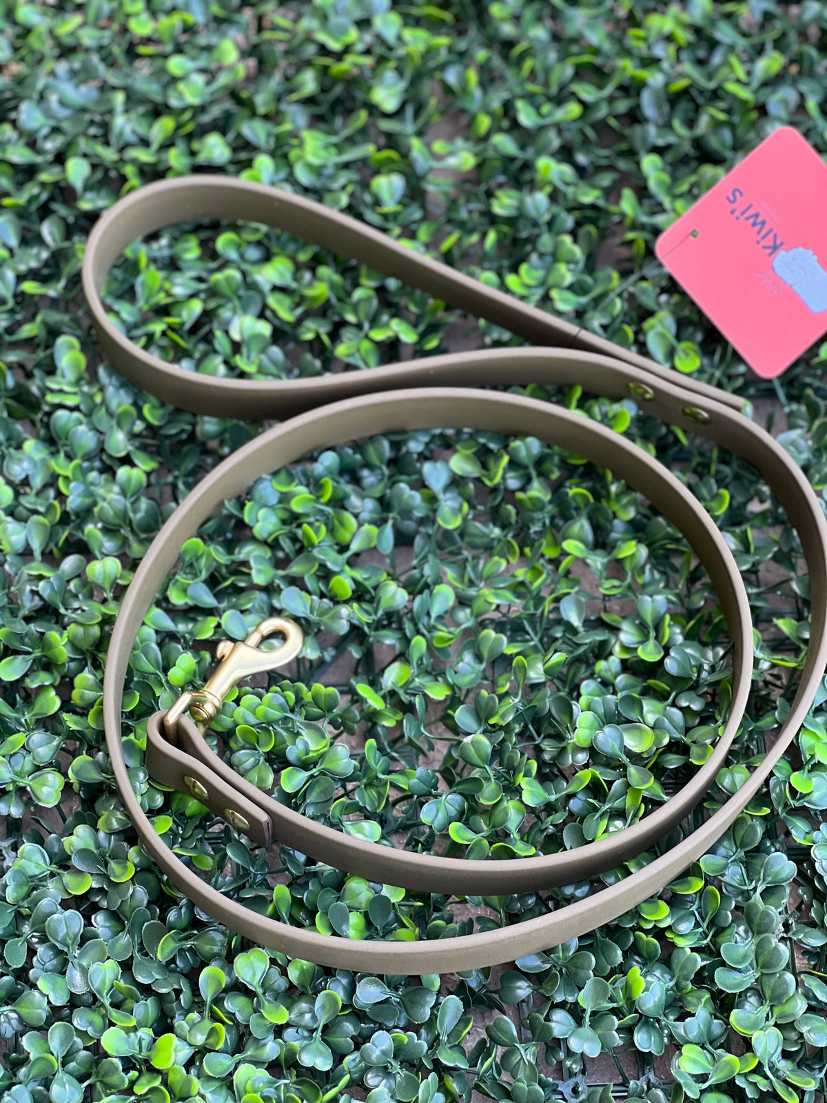 Lucy Lou & Co. Biothane Leash