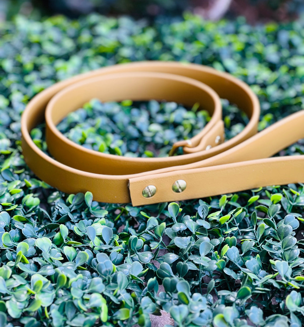 Lucy Lou & Co. Biothane Leash