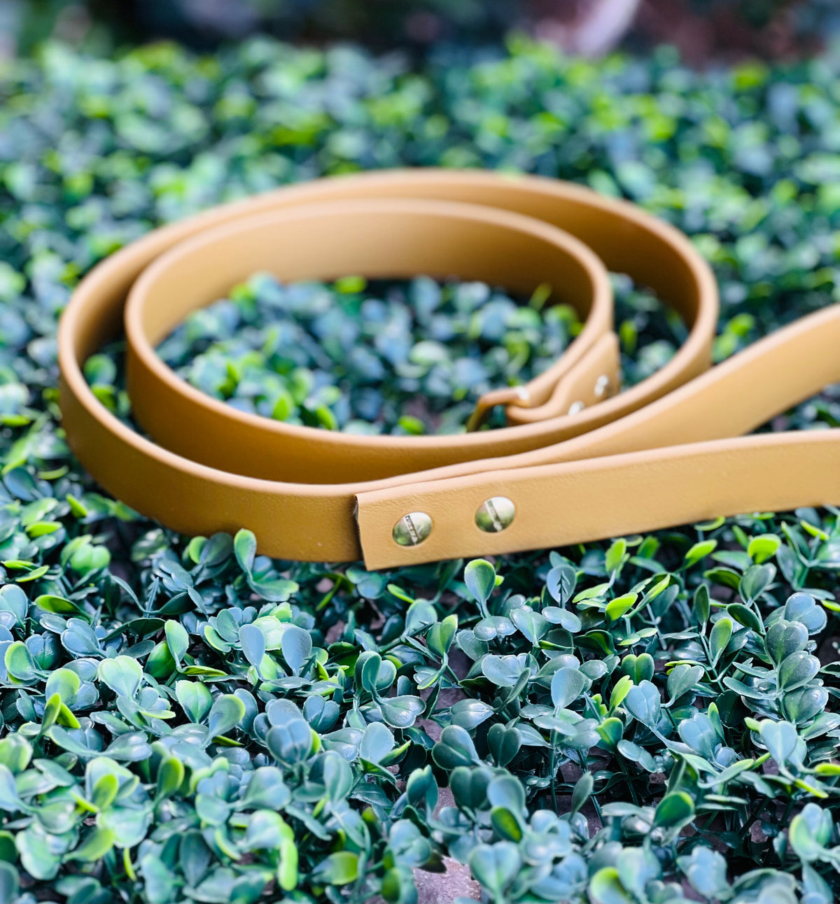 Lucy Lou & Co. Biothane Leash