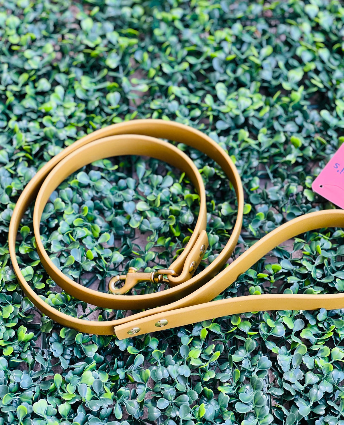 Lucy Lou & Co. Biothane Leash