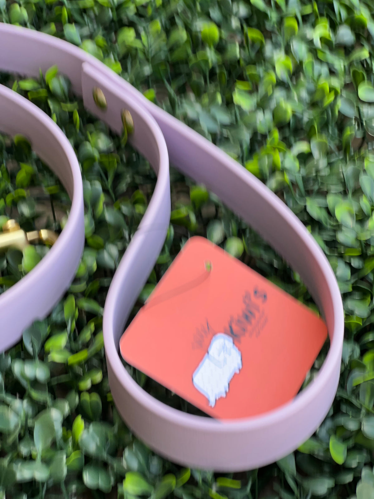 Lucy Lou & Co. Biothane Leash