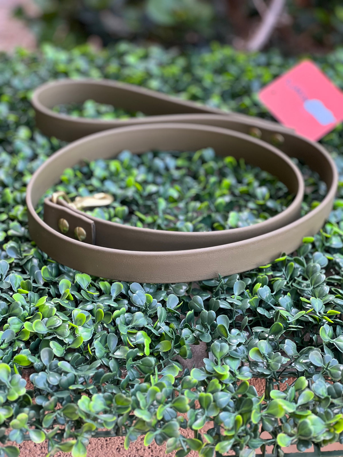 Lucy Lou & Co. Biothane Leash