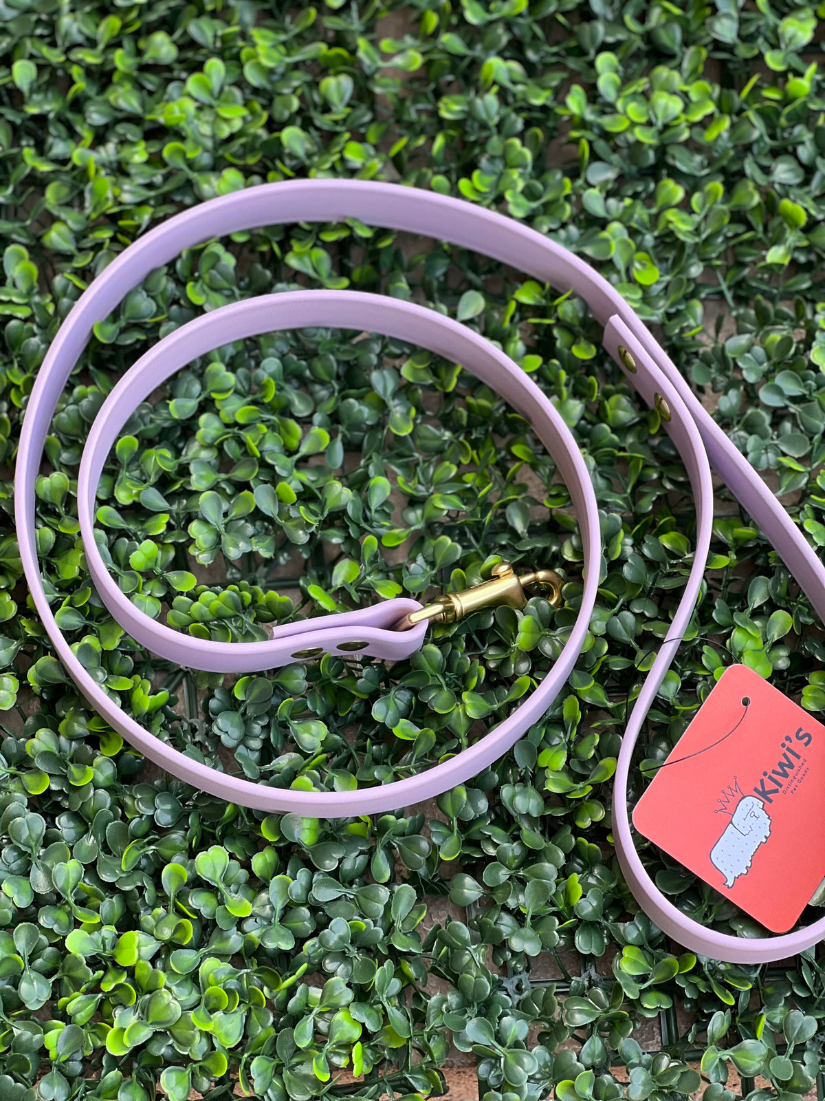 Lucy Lou & Co. Biothane Leash