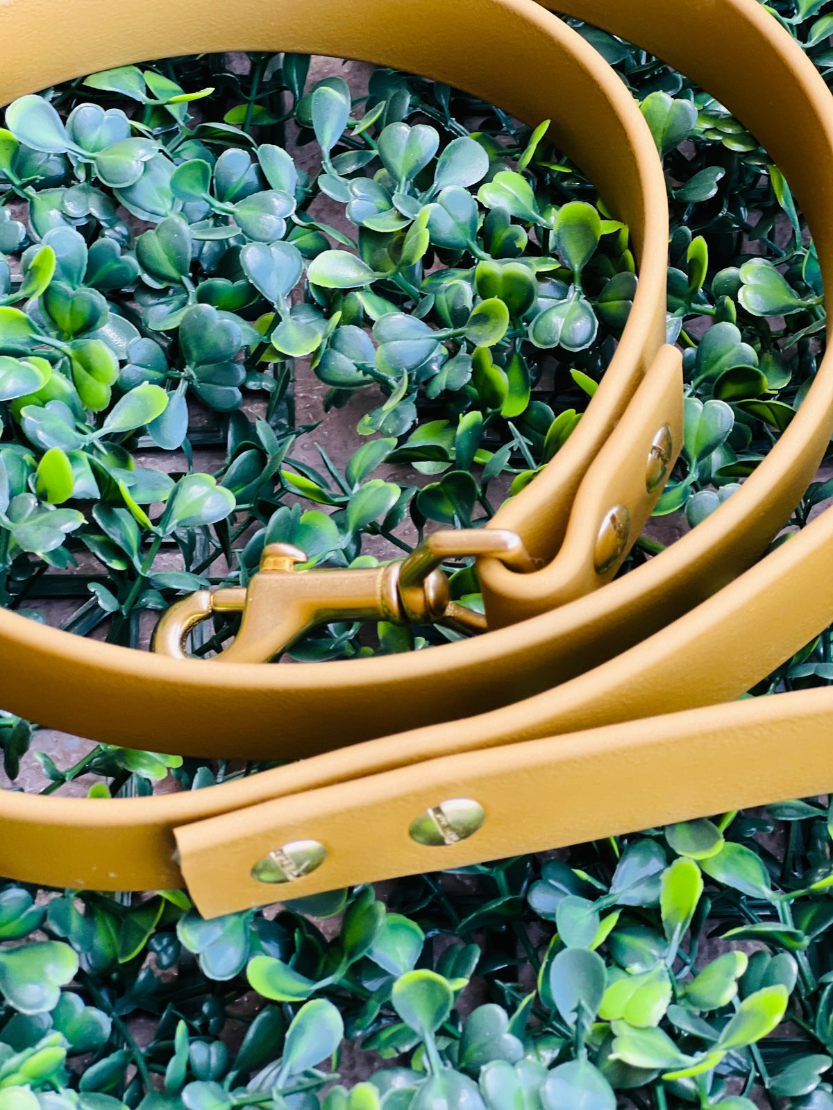 Lucy Lou & Co. Biothane Leash
