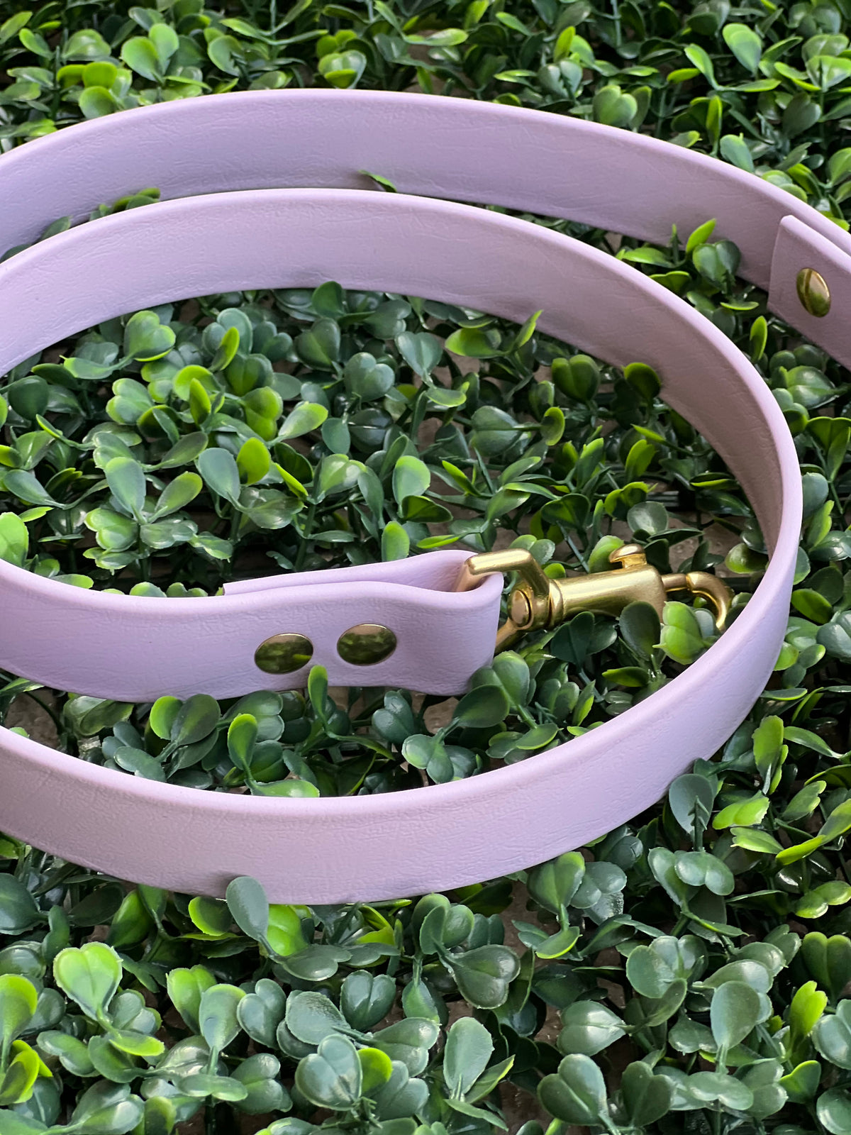 Lucy Lou & Co. Biothane Leash