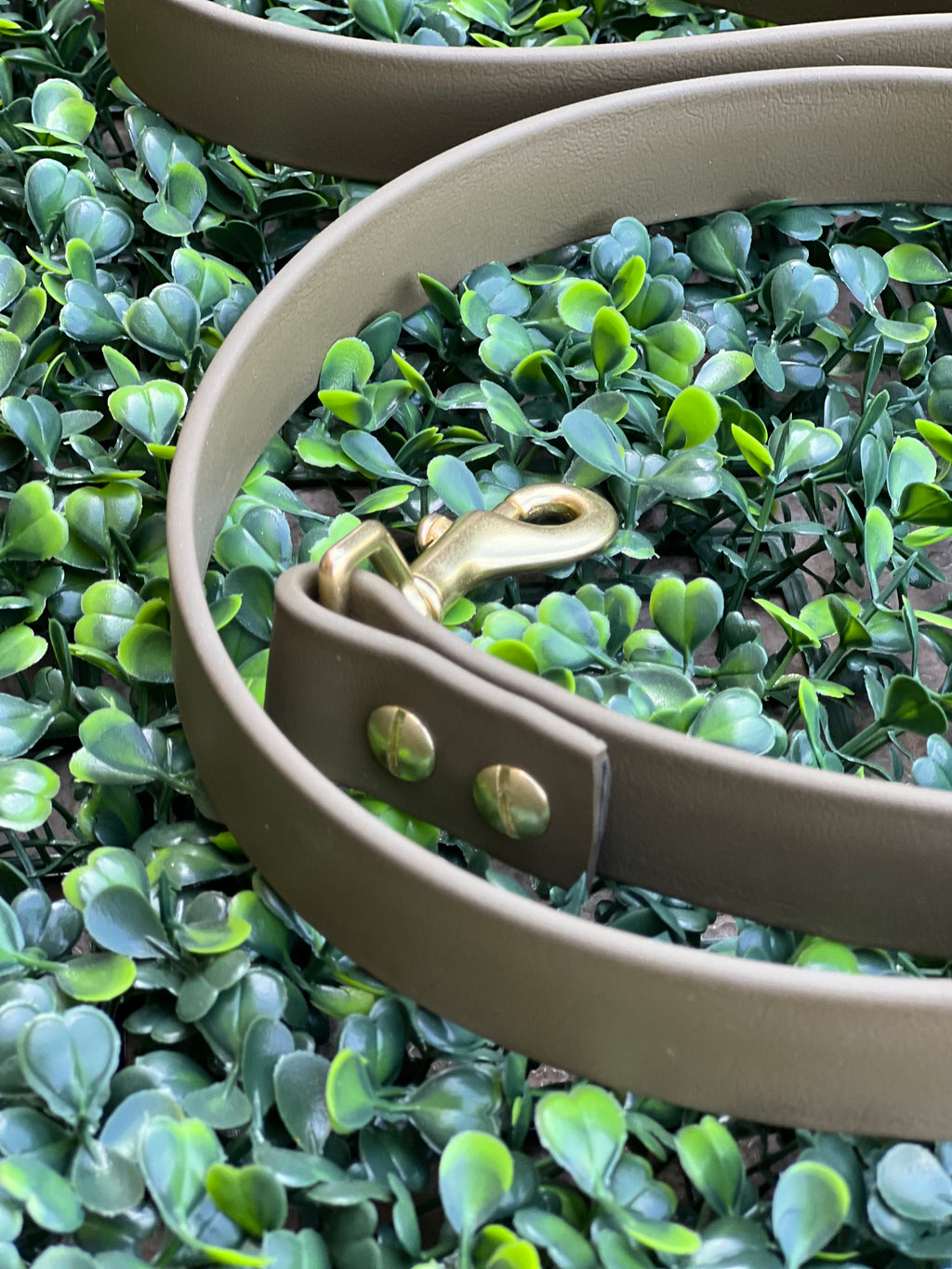 Lucy Lou & Co. Biothane Leash