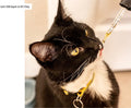 Goodbye UTI Drops For Cats