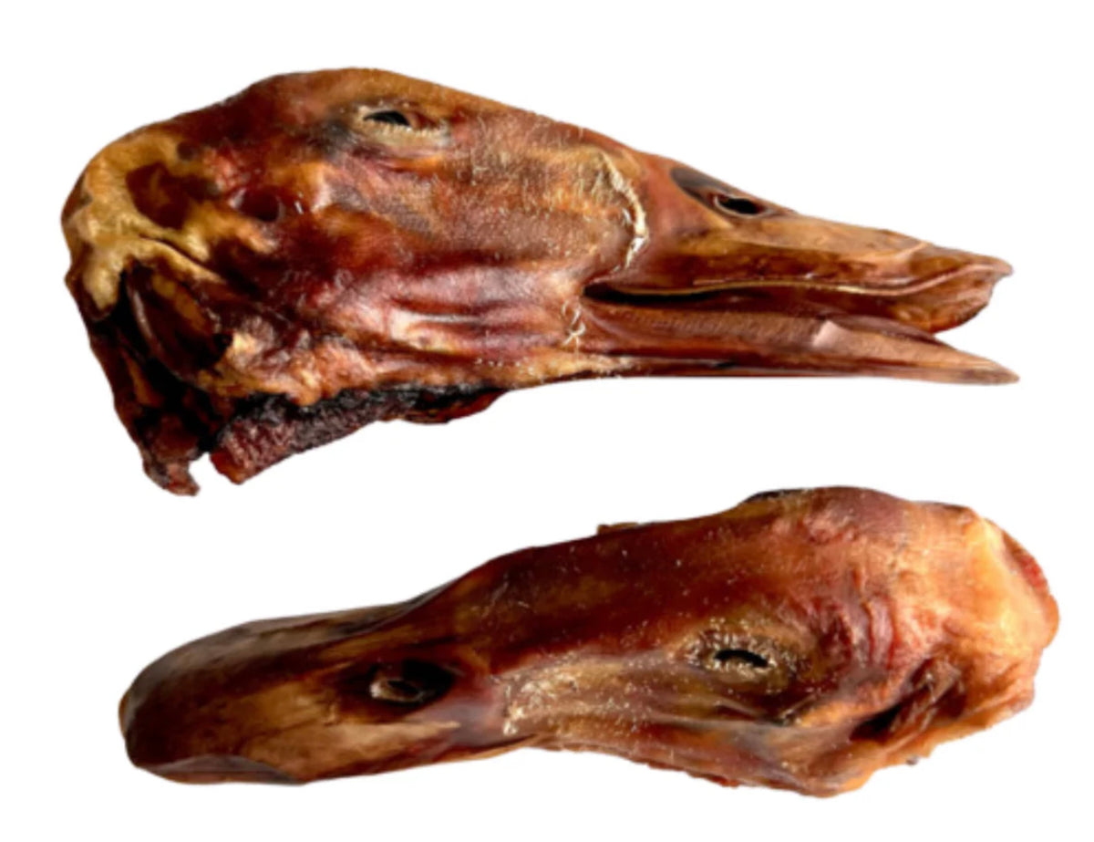 Whole Duck Head