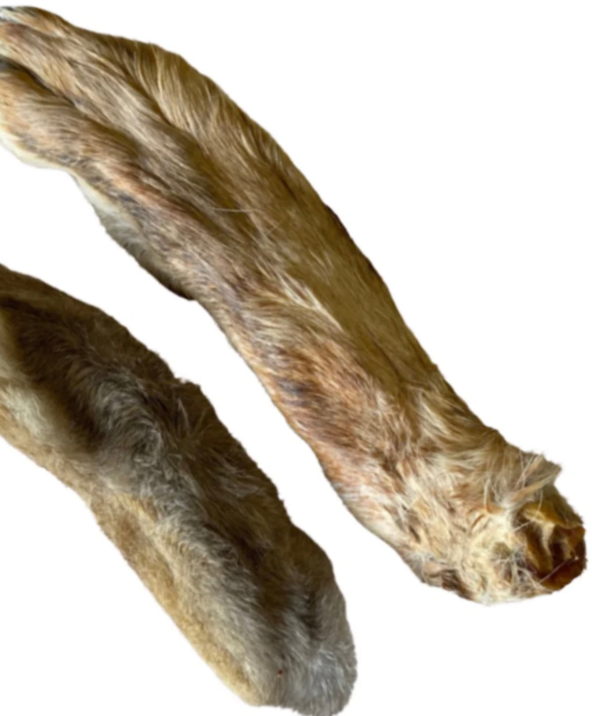 Furry Rabbit Feet