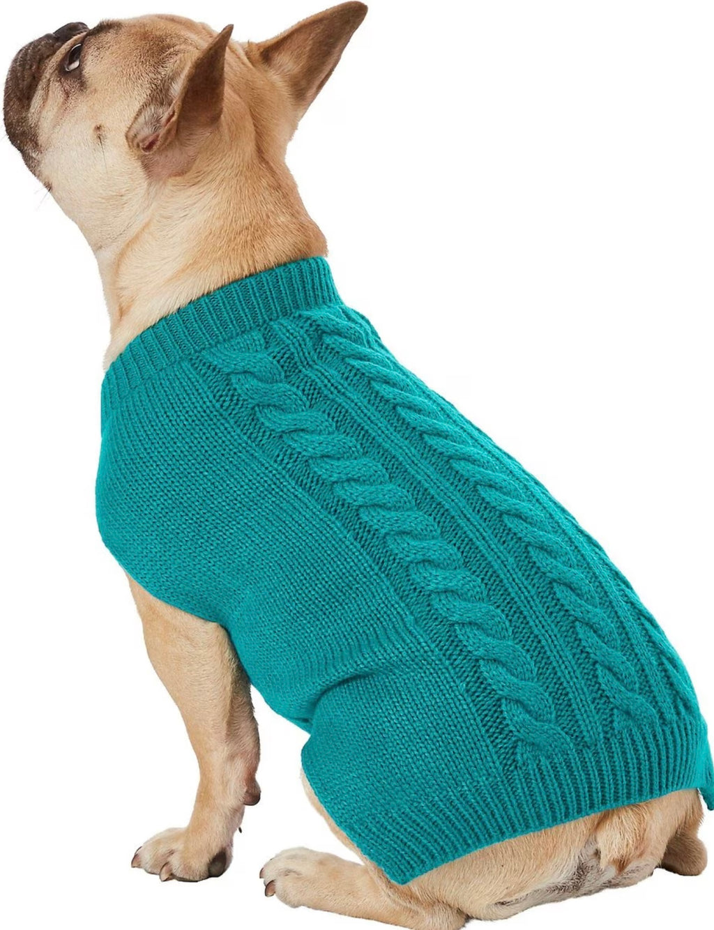 Solid Cable Knit Sweater