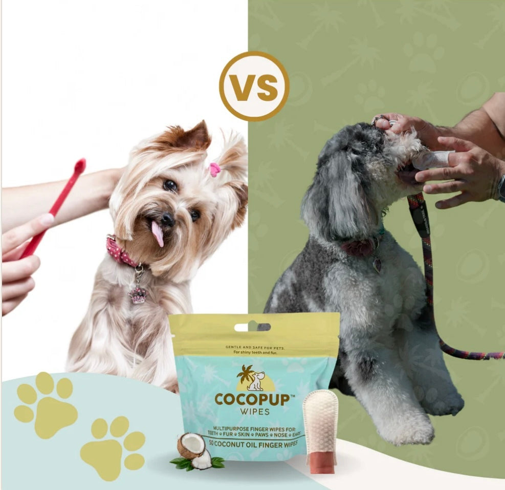 Cocopup Wipes